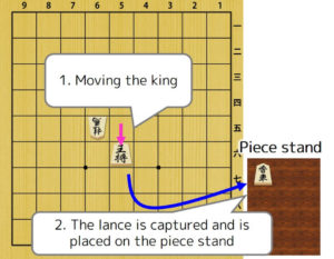 Fig2. How to Capture a Piece