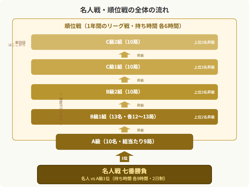 名人戦の全体の流れ（C級2組→C級1組→B級2組→B級1組→A級→名人戦七番勝負）